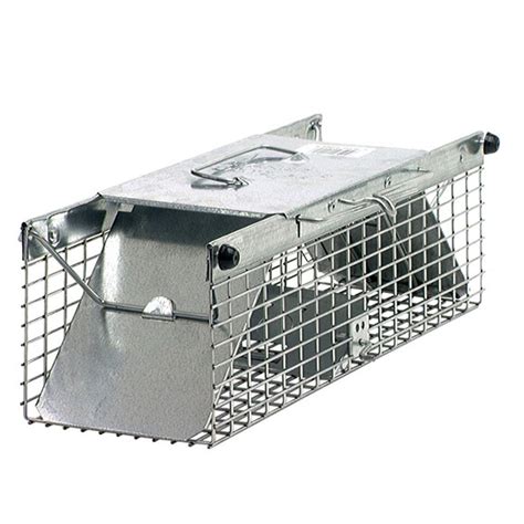 More importantly, not to violate rules and regulations. . Squirrel trap home depot